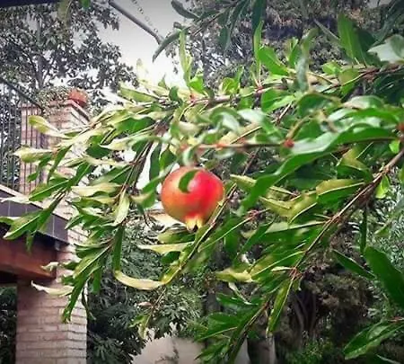 I Melograni Szálloda Bedizzole